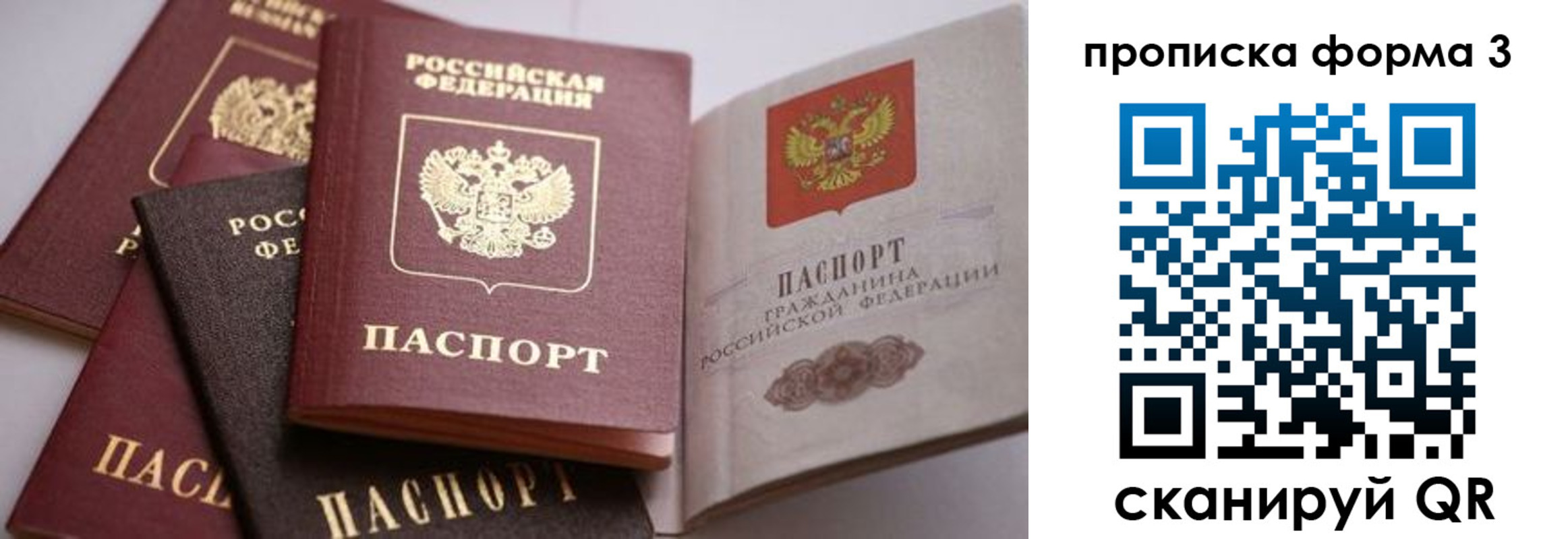 прописка для школы в Тереке